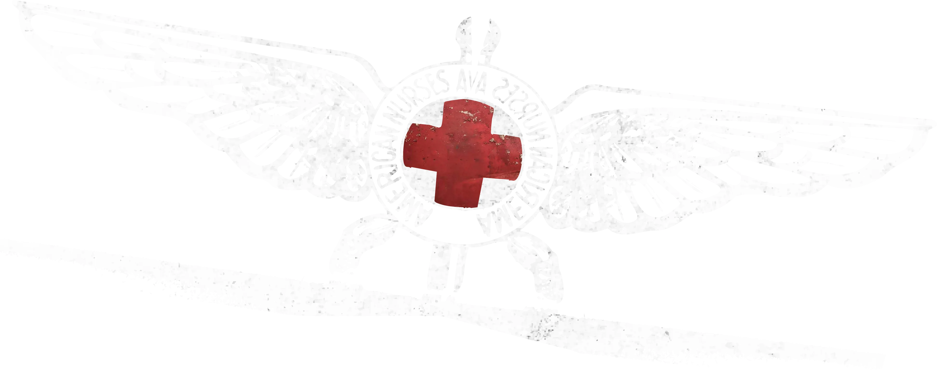 The American Nurse